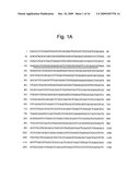 Stress-Induced Transcription Factor Derived from Maize diagram and image