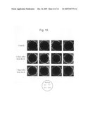 Stress-Induced Transcription Factor Derived from Maize diagram and image