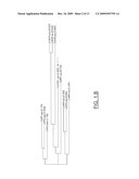 ZMTCRR-1 PLANT SIGNAL TRANSDUCTION GENE AND PROMOTER diagram and image