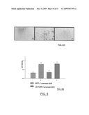 ZMTCRR-1 PLANT SIGNAL TRANSDUCTION GENE AND PROMOTER diagram and image