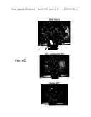 NOVEL PLANTS diagram and image