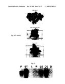 NOVEL PLANTS diagram and image