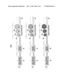 IMAGE DISPLAY DEVICE diagram and image