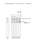 DEVICE FOR RAPID DETERMINATION OF DISEASE-ASSOCIATED THIOL COMPOUNDS diagram and image