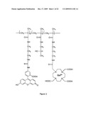 Macromolecular Delivery Systems for Non-Invasive Imaging, Evaluation and Treatment of Arthritis and Other Inflammatory Diseases diagram and image