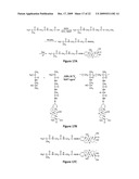 Macromolecular Delivery Systems for Non-Invasive Imaging, Evaluation and Treatment of Arthritis and Other Inflammatory Diseases diagram and image