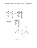 Macromolecular Delivery Systems for Non-Invasive Imaging, Evaluation and Treatment of Arthritis and Other Inflammatory Diseases diagram and image