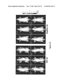 Macromolecular Delivery Systems for Non-Invasive Imaging, Evaluation and Treatment of Arthritis and Other Inflammatory Diseases diagram and image