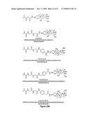 Macromolecular Delivery Systems for Non-Invasive Imaging, Evaluation and Treatment of Arthritis and Other Inflammatory Diseases diagram and image