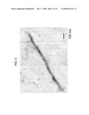 BIOMATERIALS FOR REGENERATIVE MEDICINE diagram and image