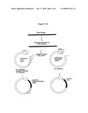 MOLECULES AND CHIMERIC MOLECULES THEREOF diagram and image