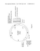 Anti-activin antibodies and uses for promoting bone growth diagram and image