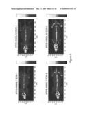 Anti-activin antibodies and uses for promoting bone growth diagram and image