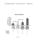 Anti-activin antibodies and uses for promoting bone growth diagram and image
