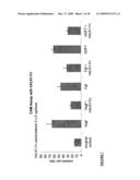 METHODS AND COMPOSITIONS FOR MODULATING ANGIOGENESIS AND PERICYTE COMPOSITION diagram and image