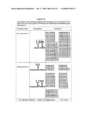 VACCINE diagram and image