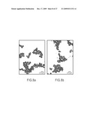 Method for forming mesoporous silica nanoparticles, mesoporous silica nanopartices, and applications thereof diagram and image