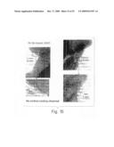 Conductive lithium storage electrode diagram and image