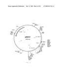 INTERGENIC REGIONS AS INSERTION SITES IN THE GENOME OF MODIFIED VACCINIA VIRUS ANKARA (MVA) diagram and image