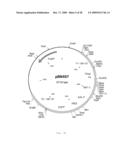 INTERGENIC REGIONS AS INSERTION SITES IN THE GENOME OF MODIFIED VACCINIA VIRUS ANKARA (MVA) diagram and image