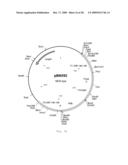 INTERGENIC REGIONS AS INSERTION SITES IN THE GENOME OF MODIFIED VACCINIA VIRUS ANKARA (MVA) diagram and image