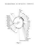 VECTORS AND METHODS FOR HIGH THROUGHPUT CO-EXPRESSIONS diagram and image