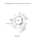 VECTORS AND METHODS FOR HIGH THROUGHPUT CO-EXPRESSIONS diagram and image