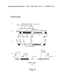 VECTORS AND METHODS FOR HIGH THROUGHPUT CO-EXPRESSIONS diagram and image