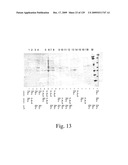 VECTORS AND METHODS FOR HIGH THROUGHPUT CO-EXPRESSIONS diagram and image