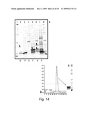 VECTORS AND METHODS FOR HIGH THROUGHPUT CO-EXPRESSIONS diagram and image