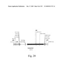 VECTORS AND METHODS FOR HIGH THROUGHPUT CO-EXPRESSIONS diagram and image