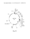 VECTORS AND METHODS FOR HIGH THROUGHPUT CO-EXPRESSIONS diagram and image