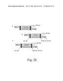 VECTORS AND METHODS FOR HIGH THROUGHPUT CO-EXPRESSIONS diagram and image