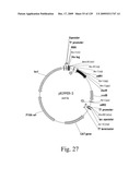 VECTORS AND METHODS FOR HIGH THROUGHPUT CO-EXPRESSIONS diagram and image