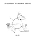 VECTORS AND METHODS FOR HIGH THROUGHPUT CO-EXPRESSIONS diagram and image