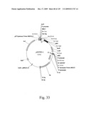 VECTORS AND METHODS FOR HIGH THROUGHPUT CO-EXPRESSIONS diagram and image