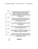 SYSTEM AND METHOD FOR NUCLEIC ACIDS SEQUENCING BY PHASED SYNTHESIS diagram and image