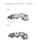 Methods and Proteins for the Prophylactic and/or Therapeutic Treatment of Four Serotypes of Dengue Virus and Other Flaviviruses diagram and image