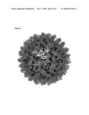 Methods and Proteins for the Prophylactic and/or Therapeutic Treatment of Four Serotypes of Dengue Virus and Other Flaviviruses diagram and image