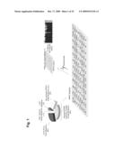 SELECTION OF PERSONALIZED CANCER THERAPY REGIMENS USING INTERFERING RNA FUNCTIONAL SCREENING diagram and image