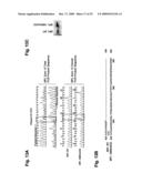 SELECTION OF PERSONALIZED CANCER THERAPY REGIMENS USING INTERFERING RNA FUNCTIONAL SCREENING diagram and image