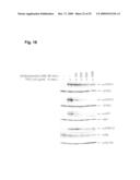 SELECTION OF PERSONALIZED CANCER THERAPY REGIMENS USING INTERFERING RNA FUNCTIONAL SCREENING diagram and image