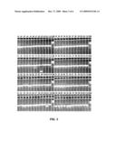 METHOD OF SYNTHESIZING POLYNUCLEOTIDE VARIANTS diagram and image