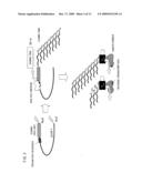 TRACE mRNA AMPLIFICATION METHOD AND USE THEREOF diagram and image