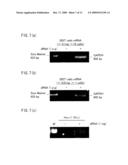 TRACE mRNA AMPLIFICATION METHOD AND USE THEREOF diagram and image