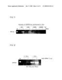 TRACE mRNA AMPLIFICATION METHOD AND USE THEREOF diagram and image