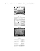 Photoresist Stripper Composition for Semiconductor Manufacturing diagram and image