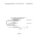 ANTIMICROBIAL PROTEIN diagram and image