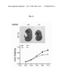 Methods of regulating differentiation in mammals diagram and image