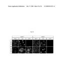 Methods of regulating differentiation in mammals diagram and image